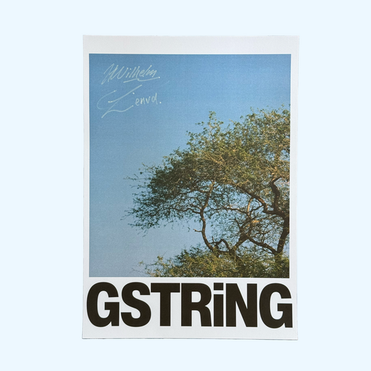 GSTRiNG Sweef Poster - Die Kast